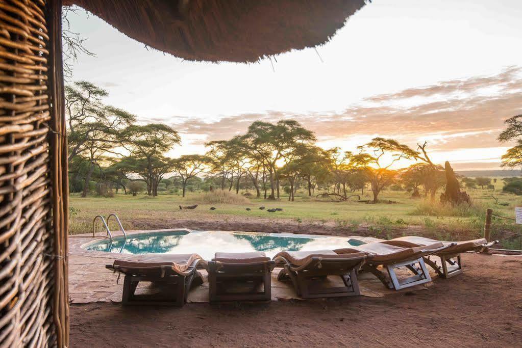 Sanctuary Swala Hotell Babati Eksteriør bilde