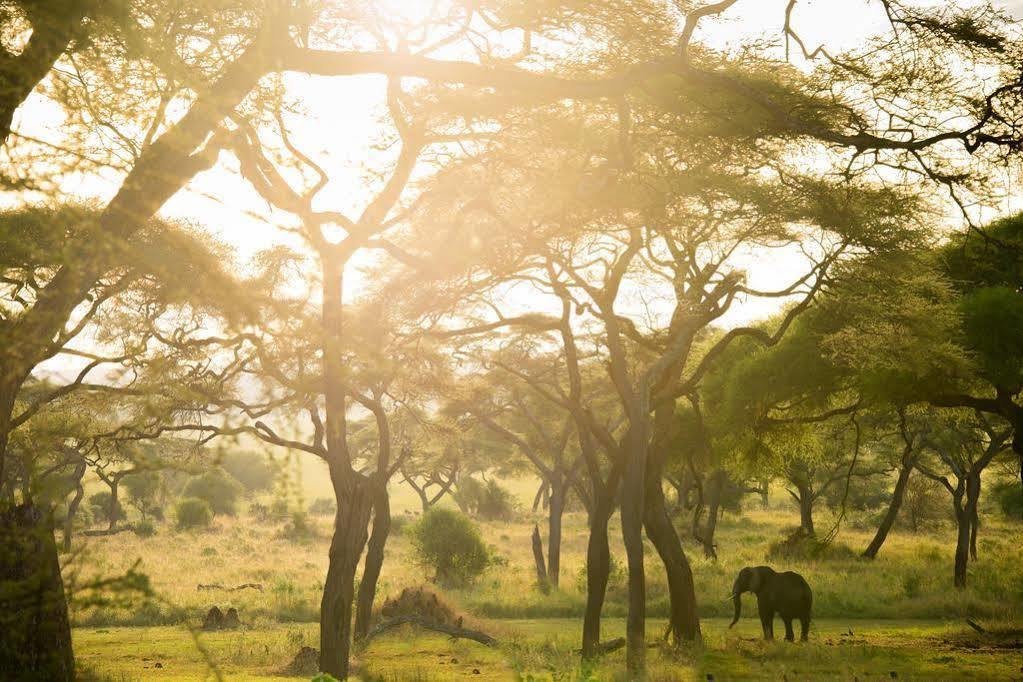 Sanctuary Swala Hotell Babati Eksteriør bilde